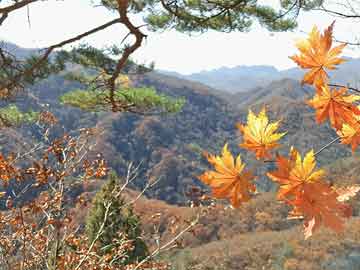 美國2月份通脹數(shù)據(jù)低于預期 帶來一絲喘息